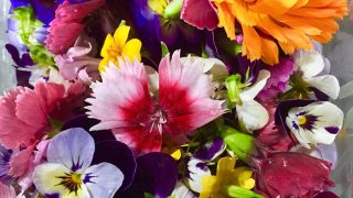 Our Micro Herbs & Edible Flowers Range